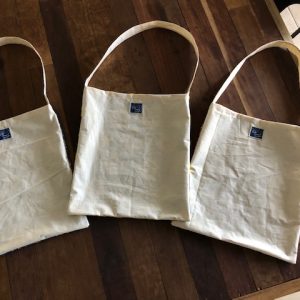 Carry All Bag – Earth Art